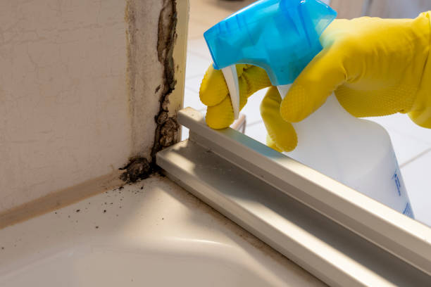Best Industrial Mold Remediation in Flora, AL
