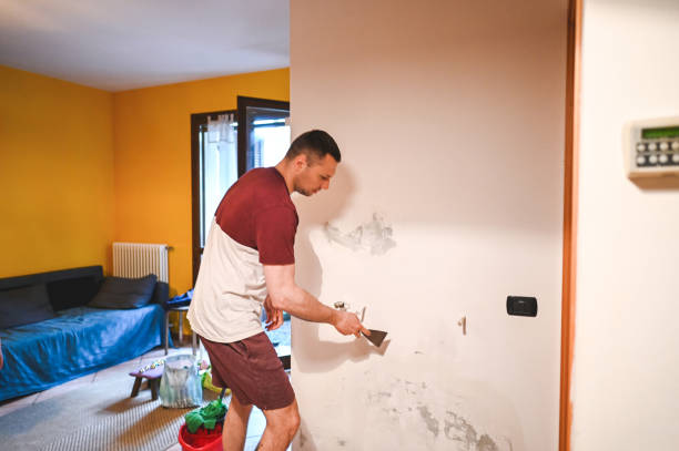 Best Post-Flood Mold Remediation in Flora, AL
